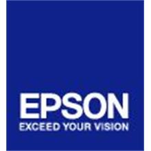 EPSON cartridge T636A orange (700ml)