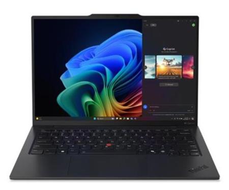 Lenovo ThinkPad X1 Carbon G13, černá (21NS004VCK)